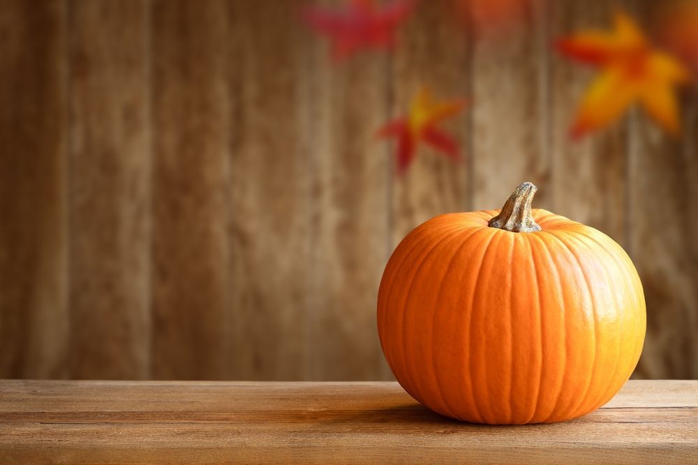 Family Day at the Pony Express National Museum