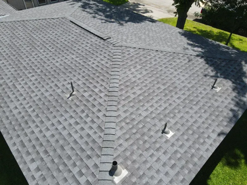 An aerial view of a gray roof with a tree in the background.