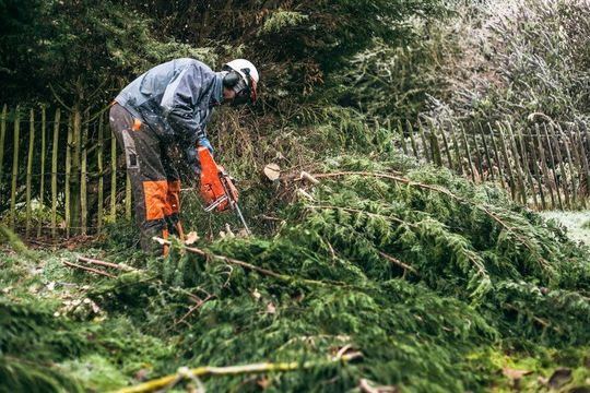 tree surgeon