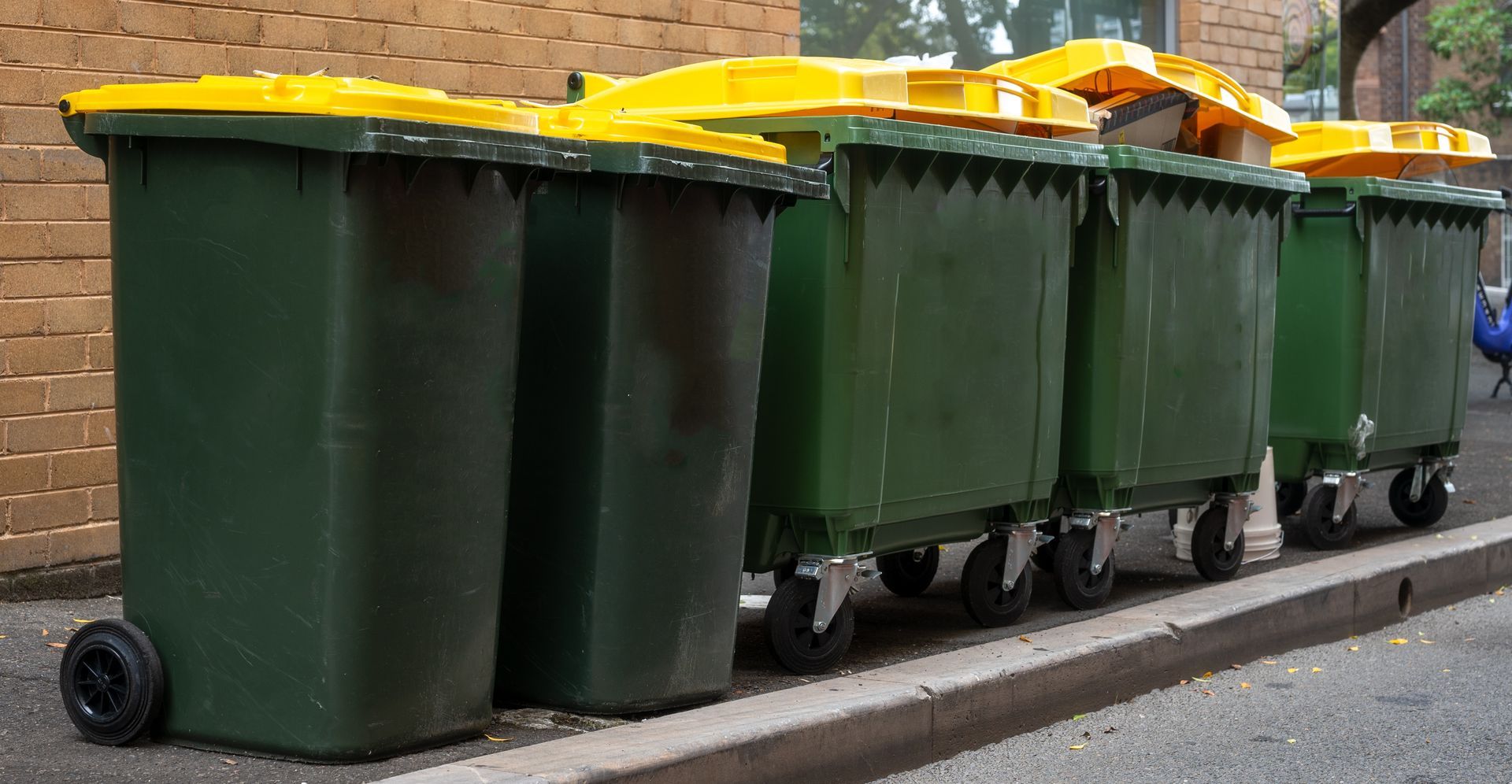 Green and yellow wheelie bins lined up on a curb, against a brick wall.