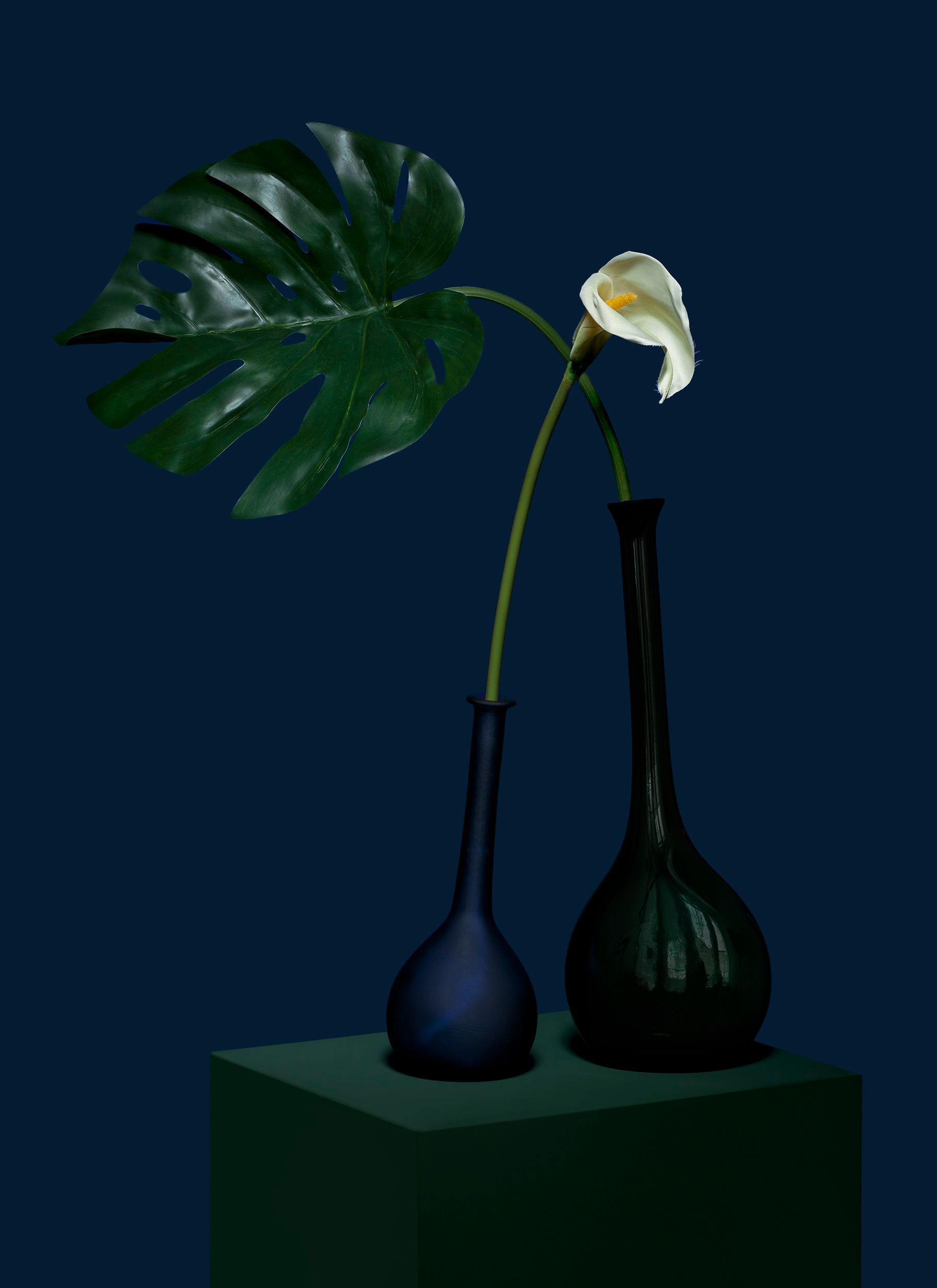 © Jacqueline Louter, Delicate Gesture