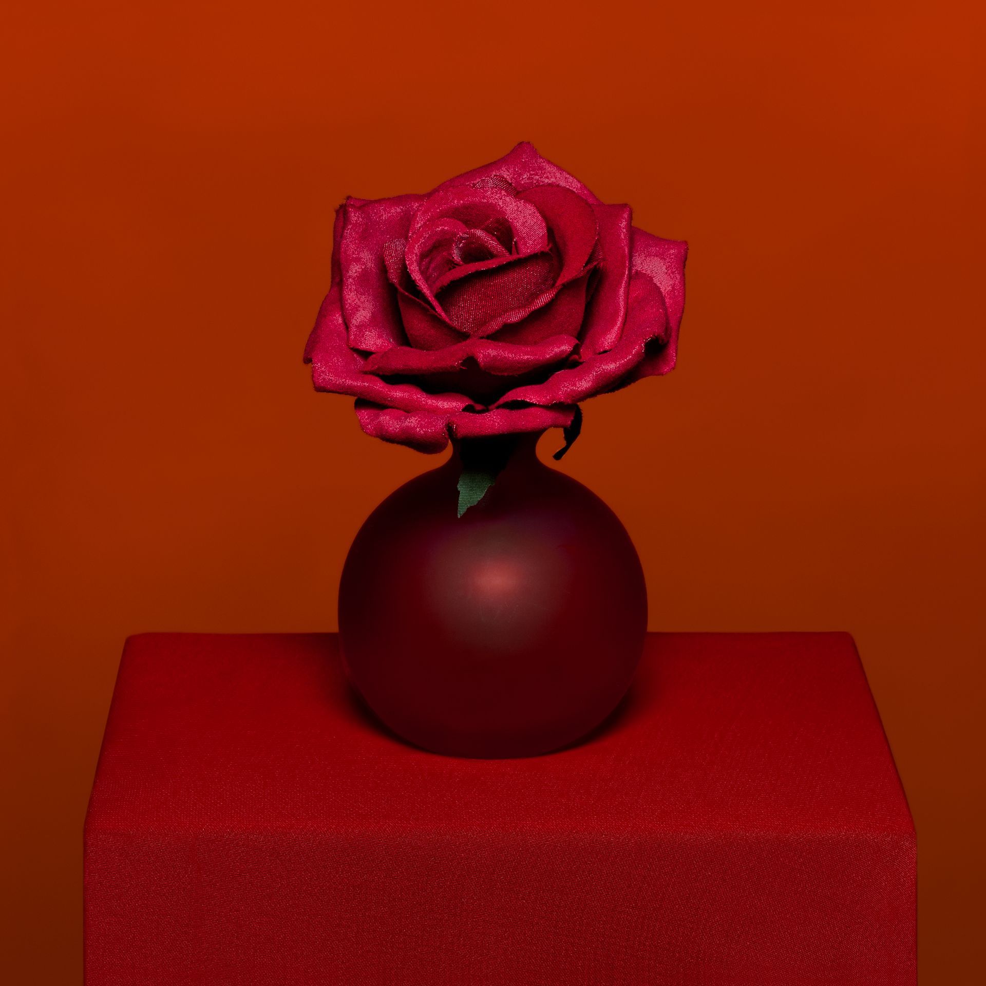 Roses are Red - 25x25 cm - € 135,00