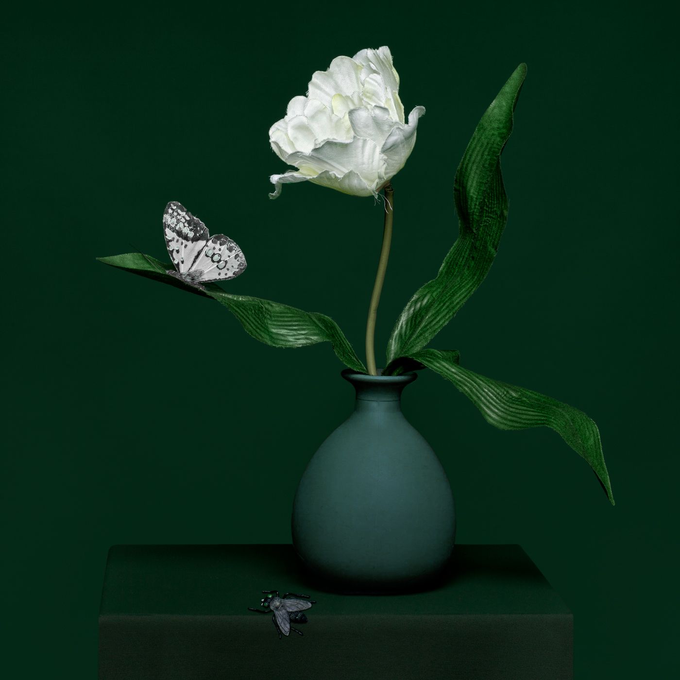 © Tulip in a Vase with Butterfly, Jacqueline Louter
