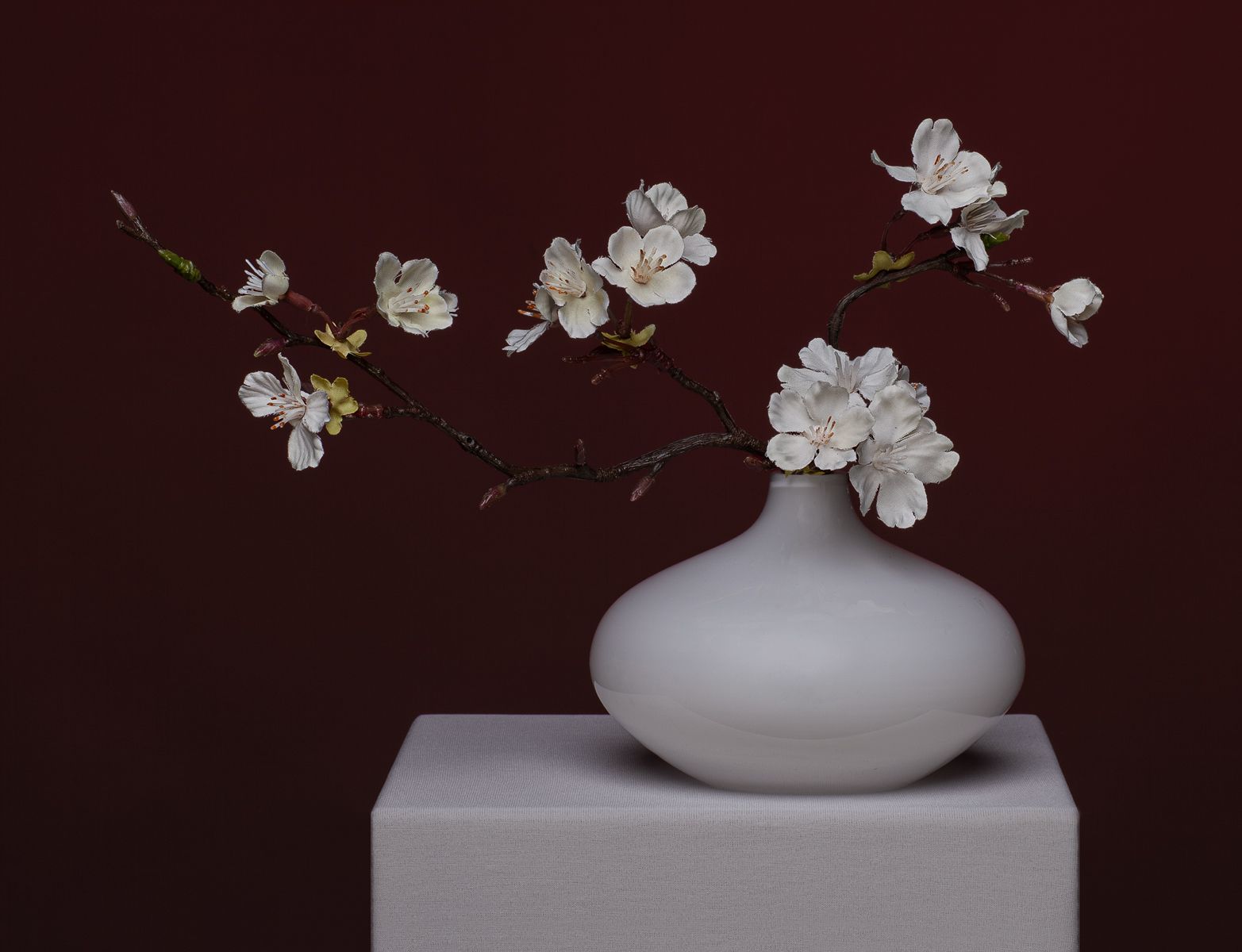 © Jacqueline louter, Ume-mi