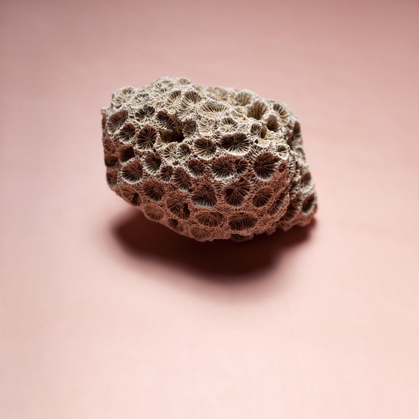 ©JacquelineLouter art portfolio jaxpix