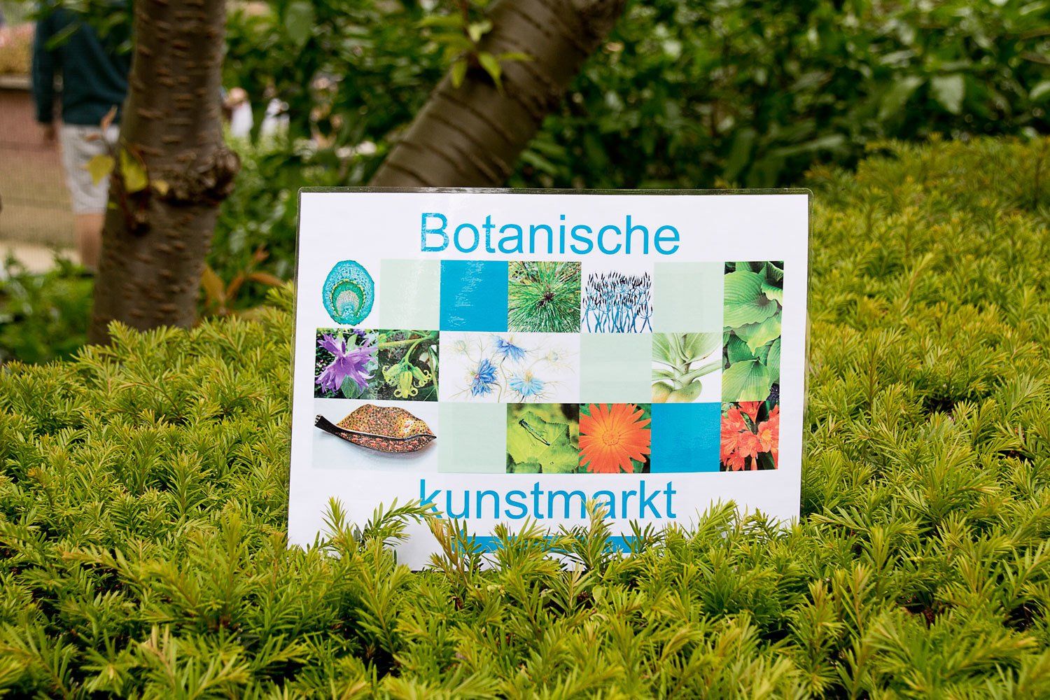 © Jacqueline Louter | Botanische Tuin TU Delft