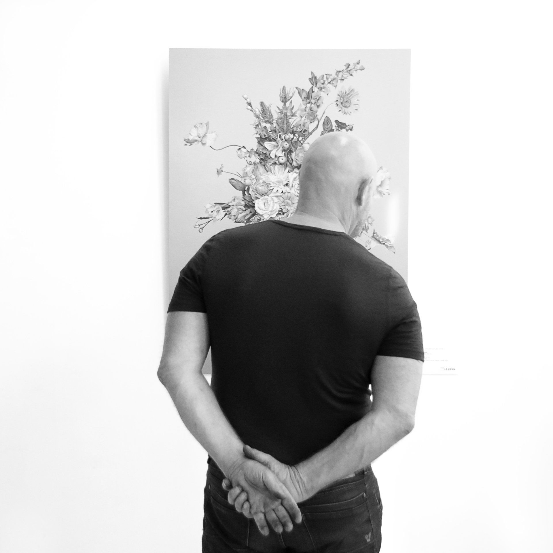 ©JacquelineLouter art portfolio jaxpix