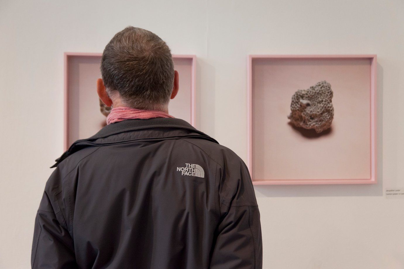 ©JacquelineLouter art portfolio jaxpix