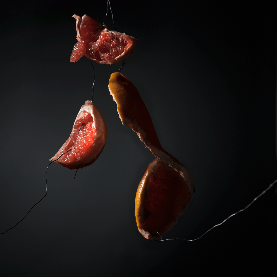 ©JacquelineLouter art portfolio jaxpix