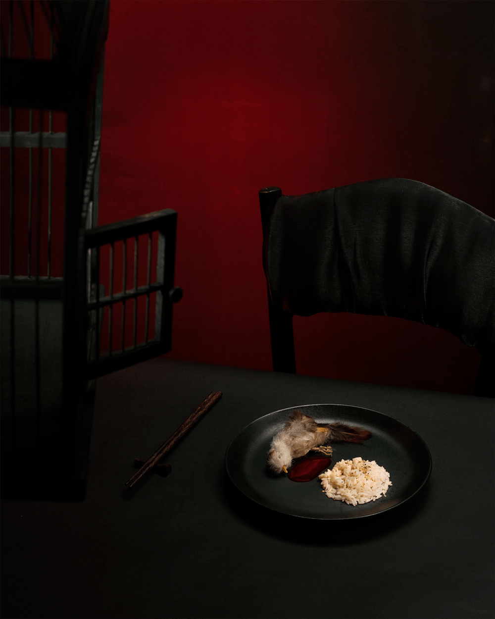 © Jacqueline Louter - Pet or Dinner