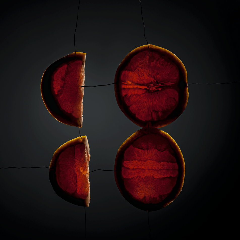 ©JacquelineLouter art portfolio jaxpix