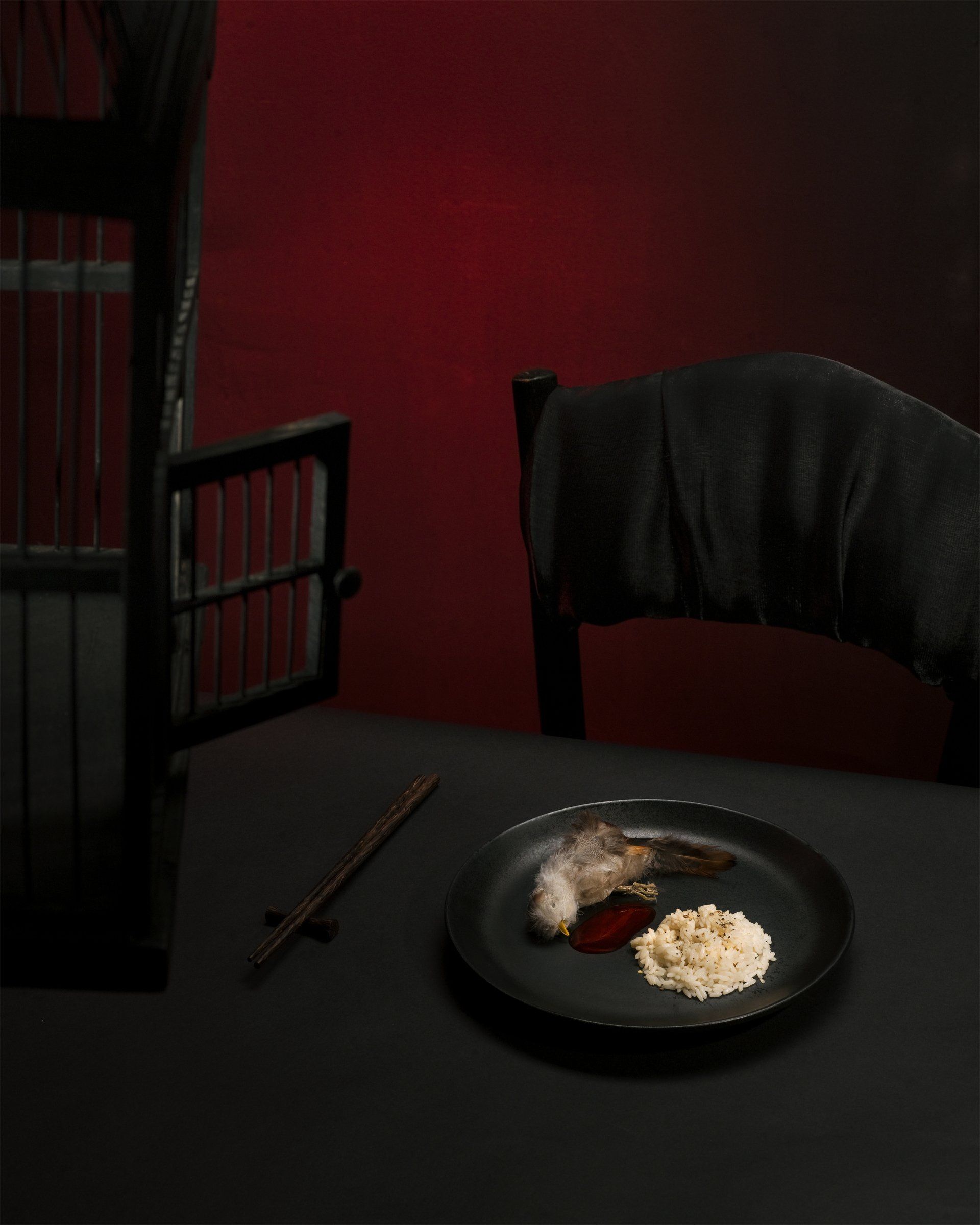 © Jacqueline Louter - Pet or dinner