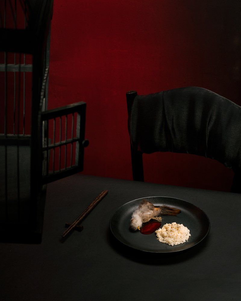 © Jacqueline Louter Pet or Dinner