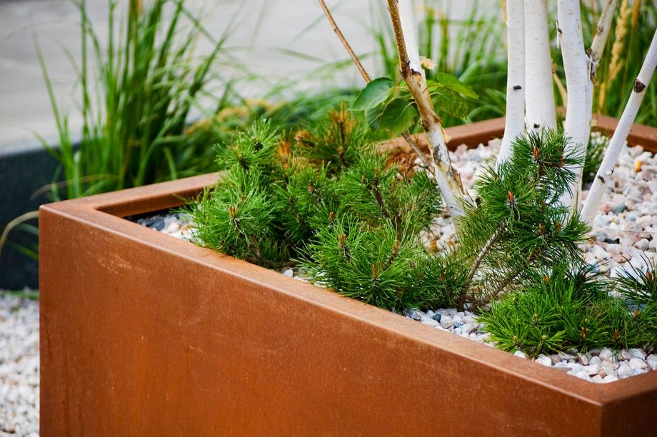 un parco acquatico pieno di persone e palme