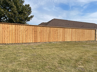 Fence Replacement