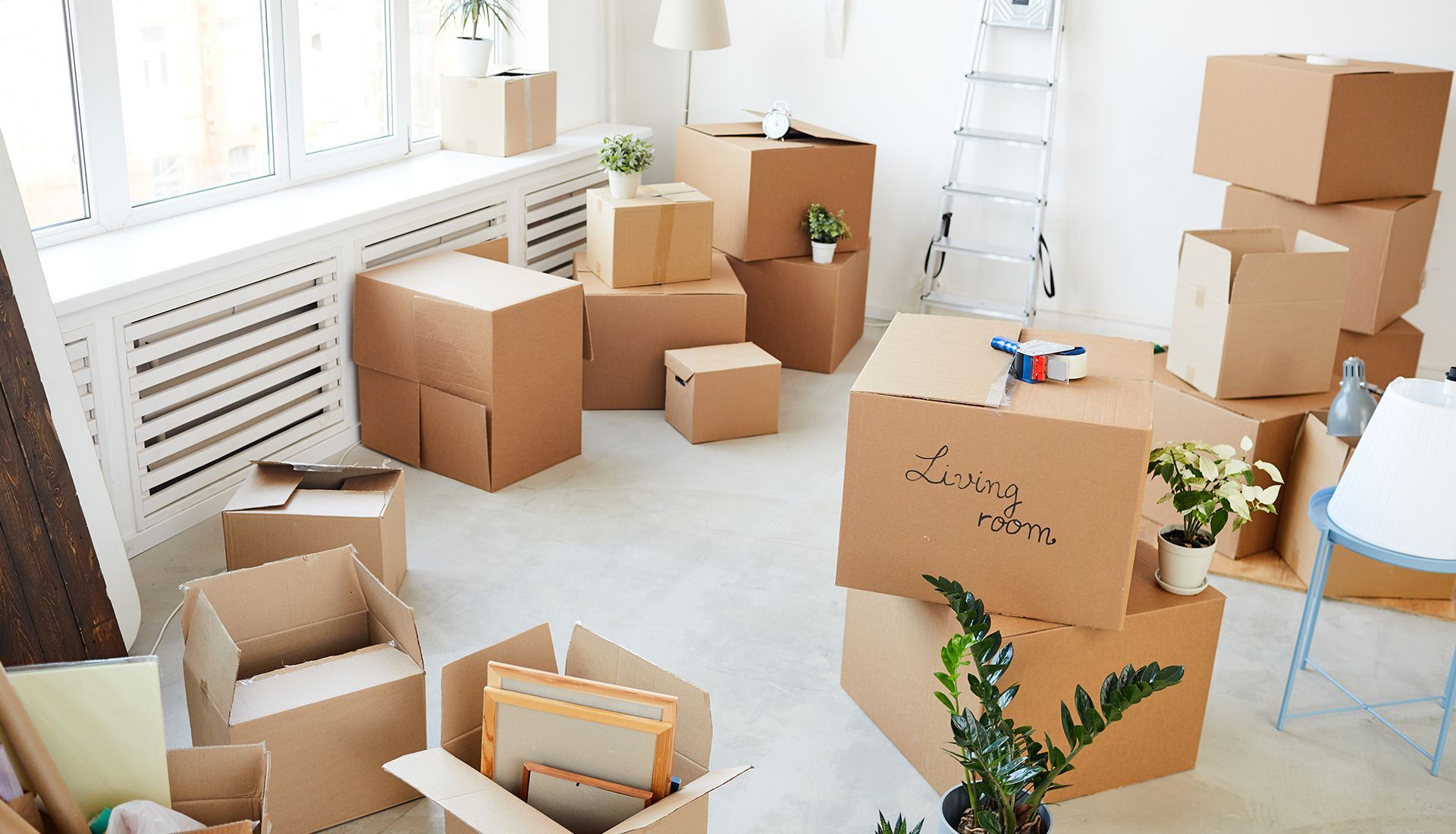 cleaning staff hoses portable car washing