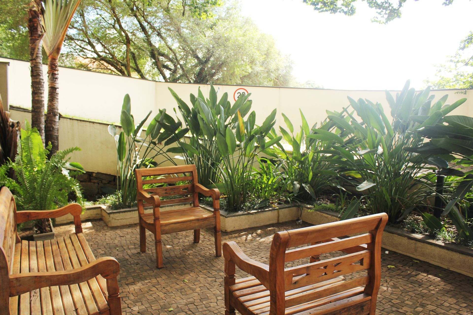 Bancos e cadeiras de madeira em um jardim ensolarado com plantas verdejantes e uma parede branca ao fundo.