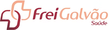 Logotipo da Frei Galvão Saúde, um serviço de saúde, com um desenho em forma de cruz nas cores bordô e pêssego.