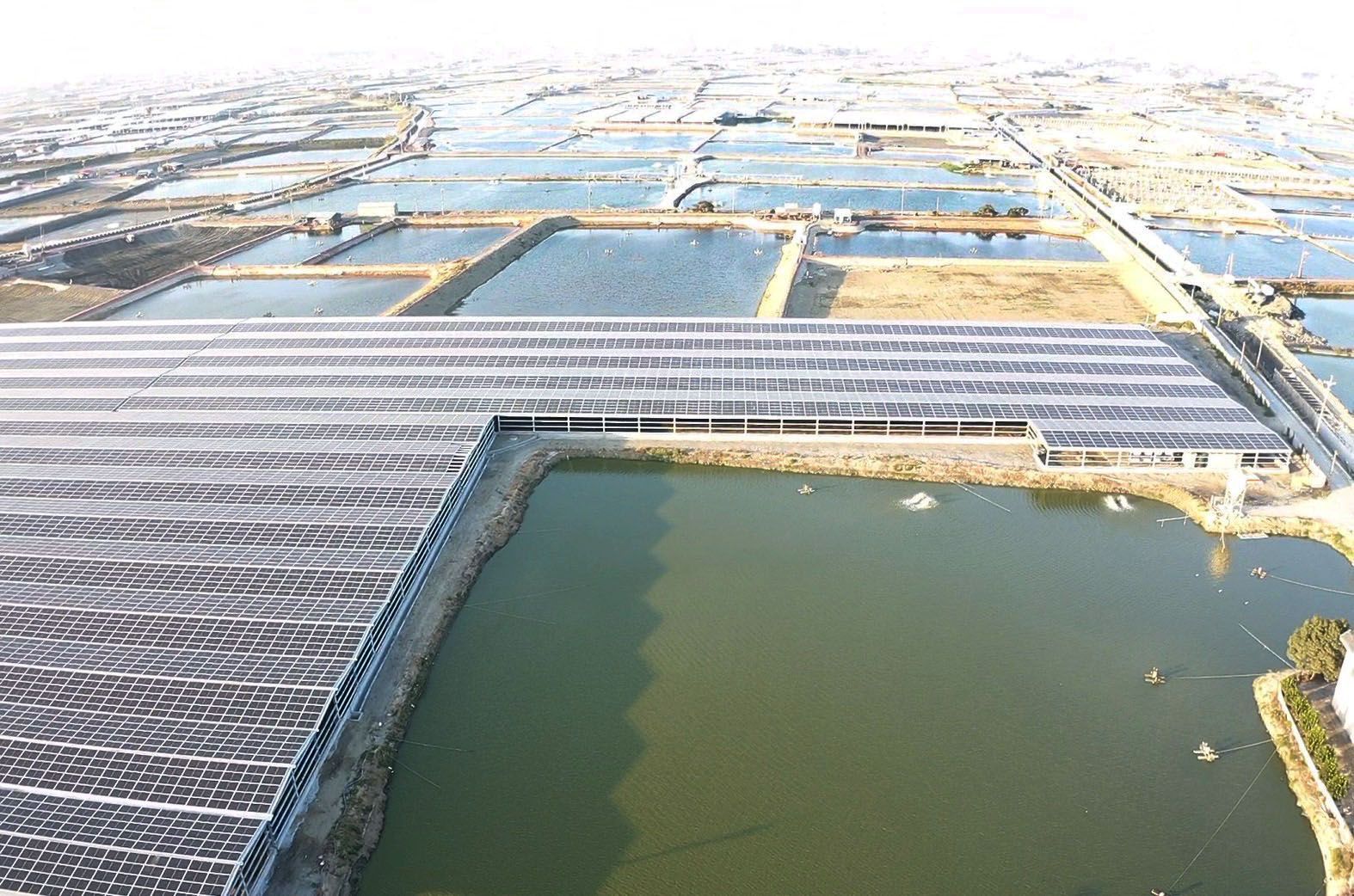 東田國際工程、東田國際、東田、ESG、太陽能、太陽能發電、太陽能電廠、漁電共生