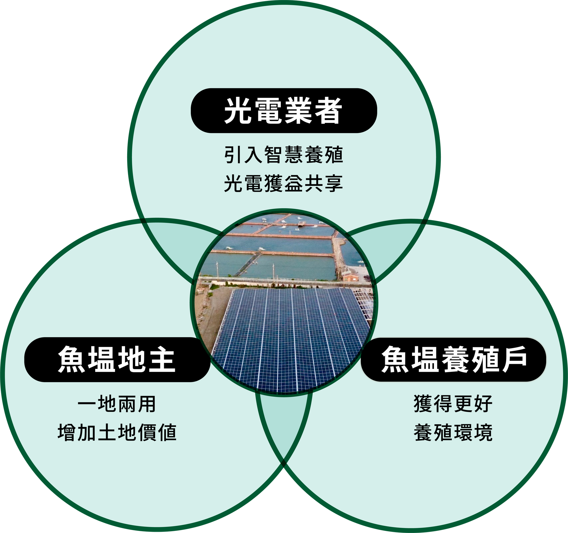 太陽能、綠能、漁電共生、一地多用、太陽能板