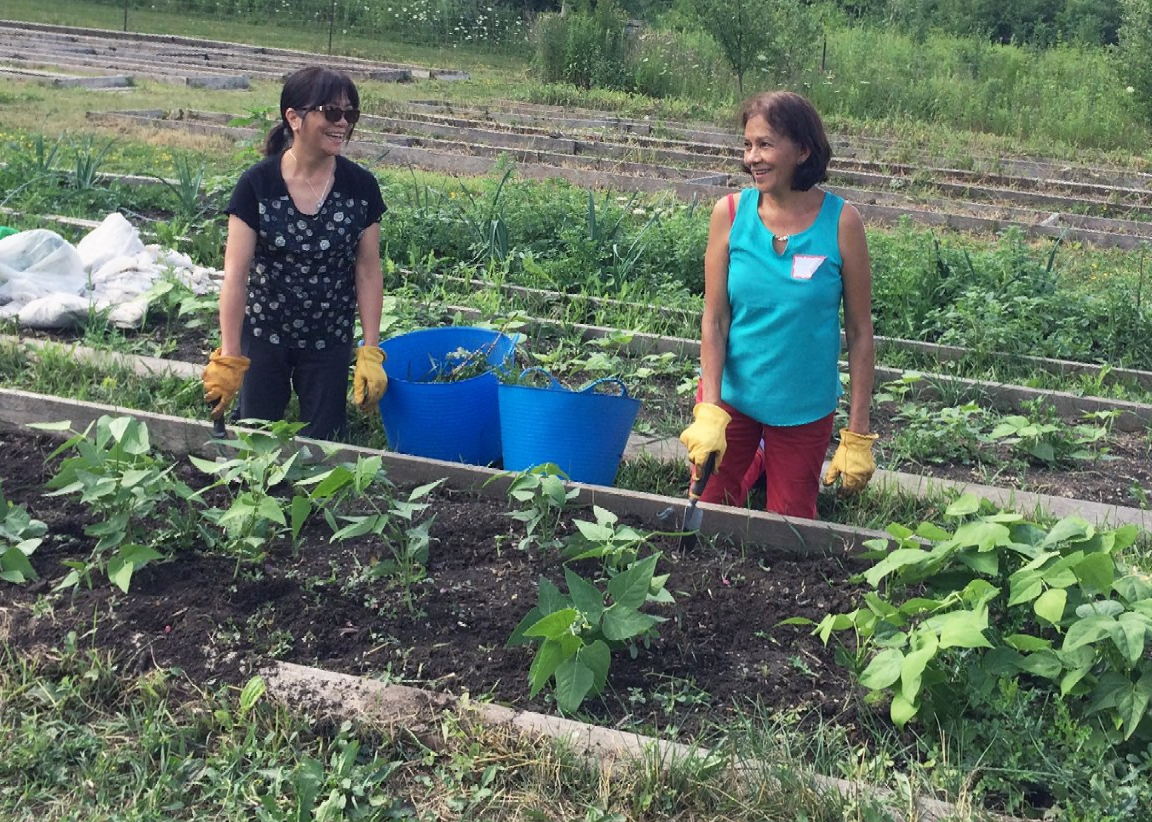 Two women are working in a garden with buckets.