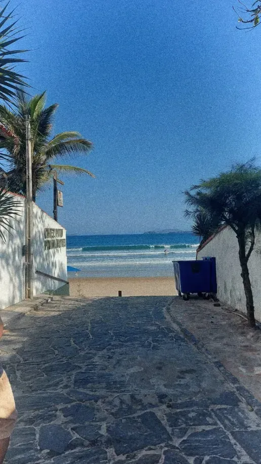Duas bicicletas estão estacionadas sob uma palmeira na grama. pousada ocacocar