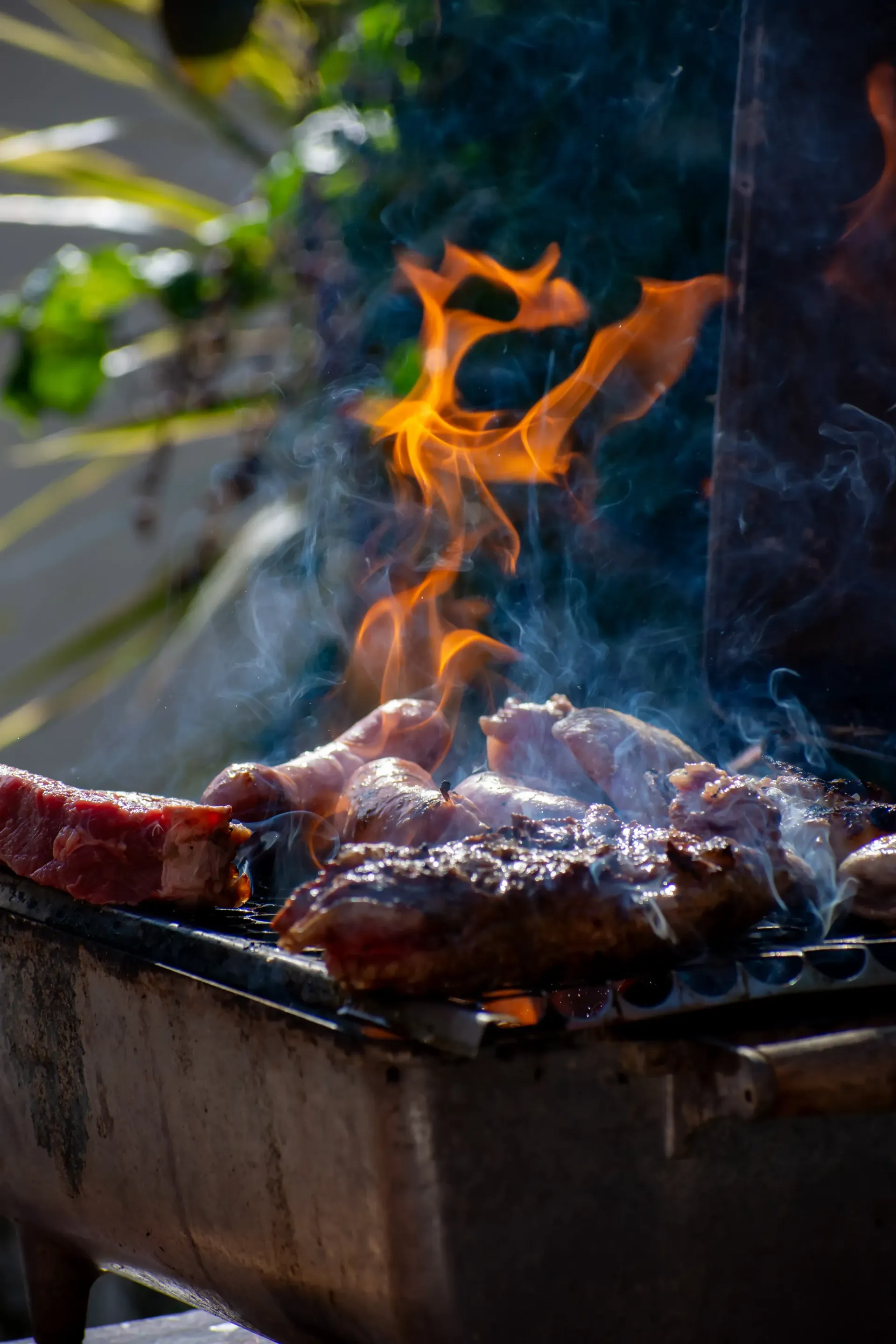 Um sanduíche está em um prato branco sobre uma mesa de madeira.-pousada ocacocar
