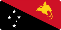 The flag of papua new guinea has a bird on it