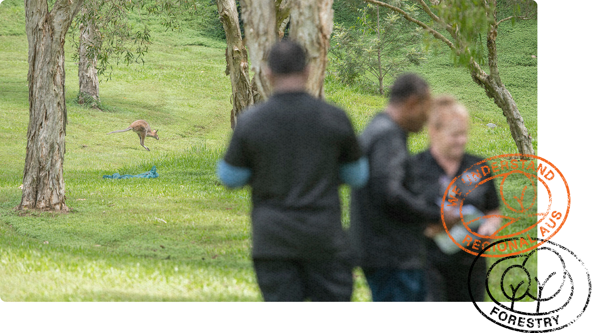A group of workers in black shirts stand in the foreground, while a kangaroo hops across a grassy area with scattered trees.