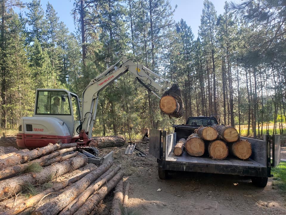tree removal spokane