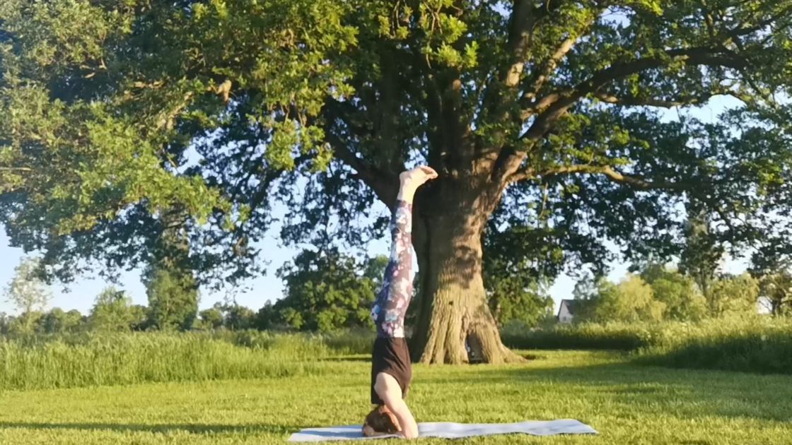 Woman doing a head stand underneath a tree