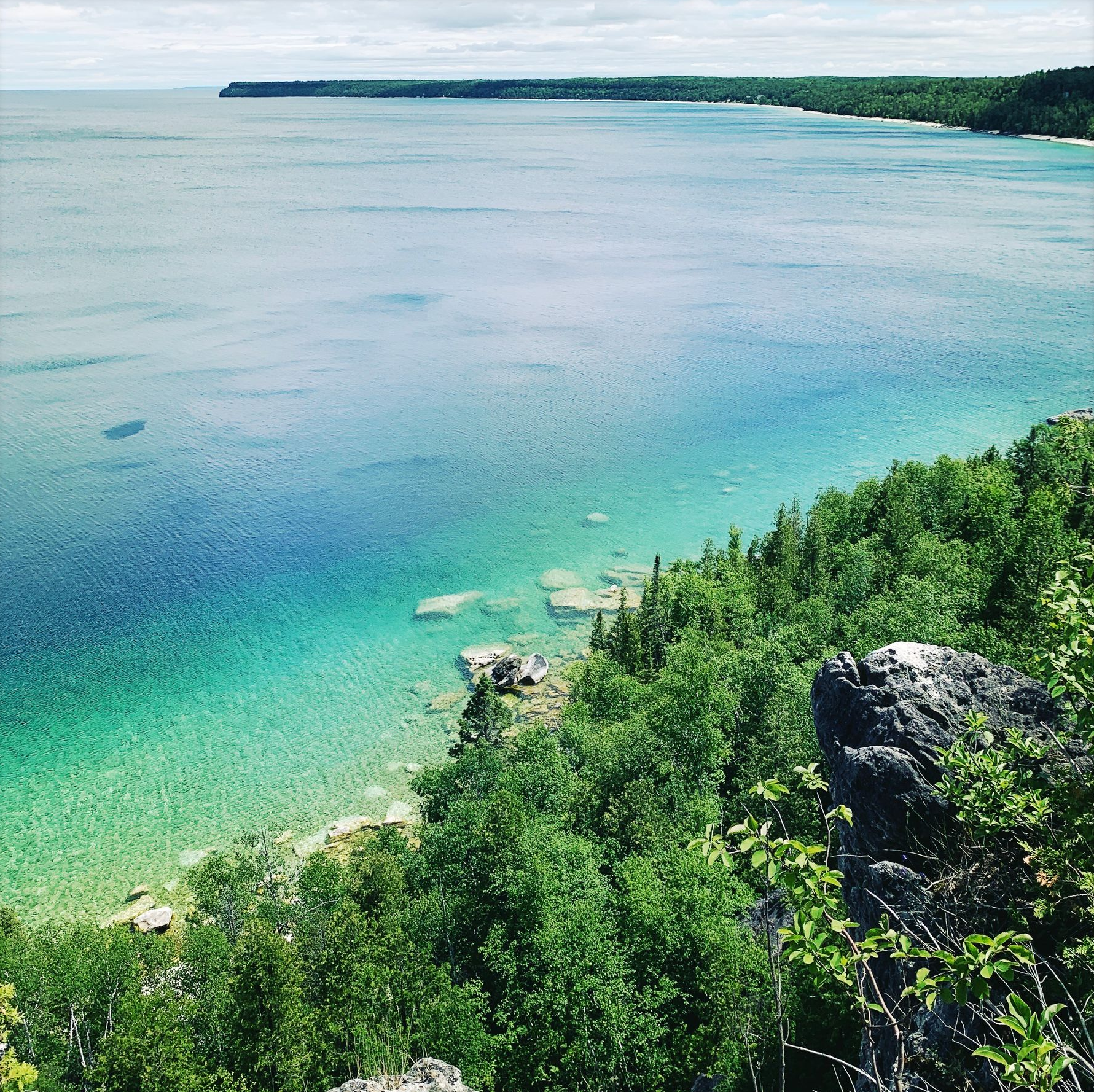 Man with graying beard and hair, looking left, indoors.