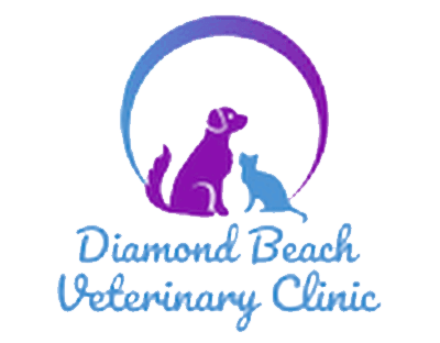Your Veterinary Clinic In Diamond Beach