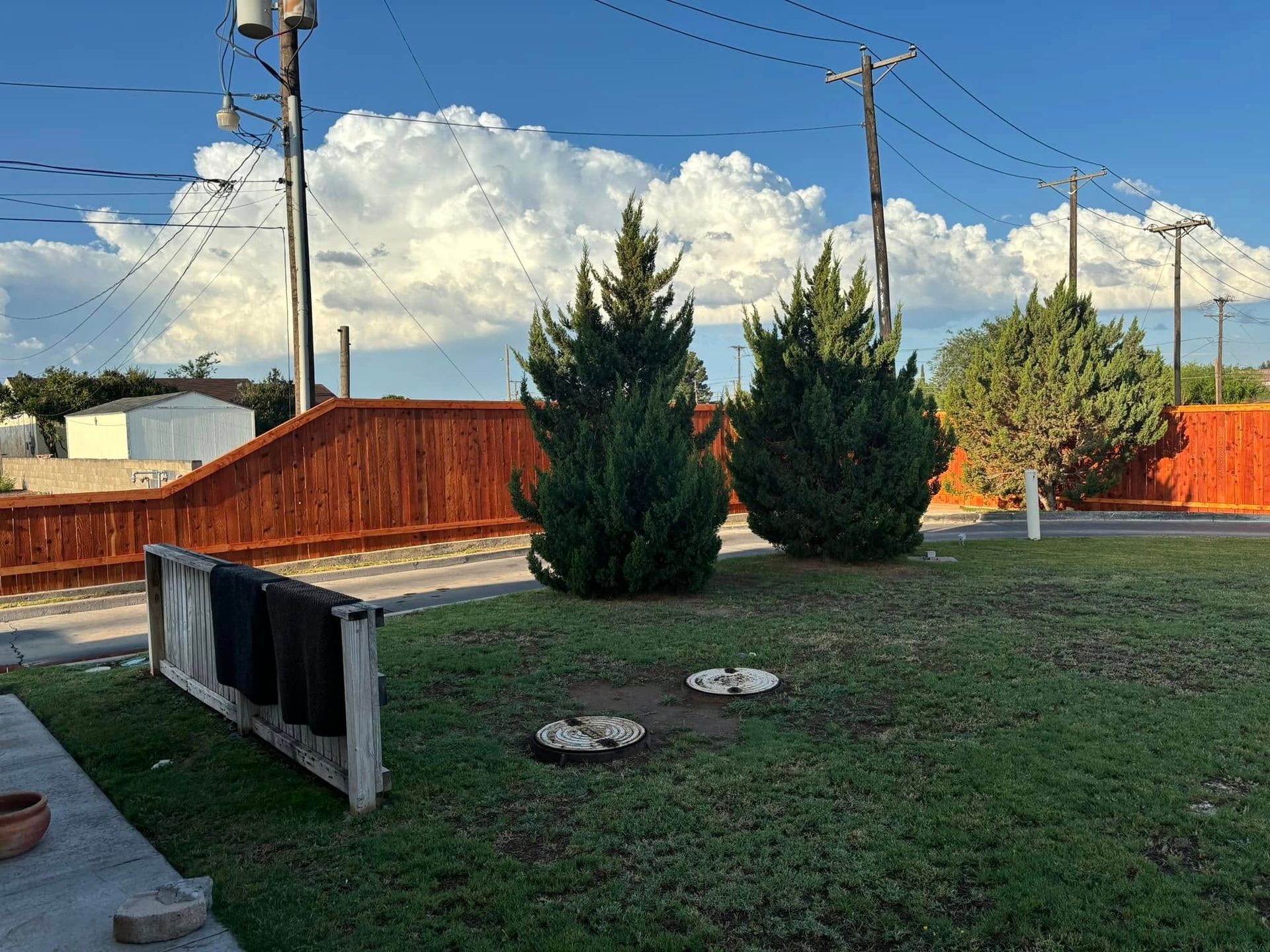 Green yard with evergreen trees, brown fence, and a cloudy blue sky.