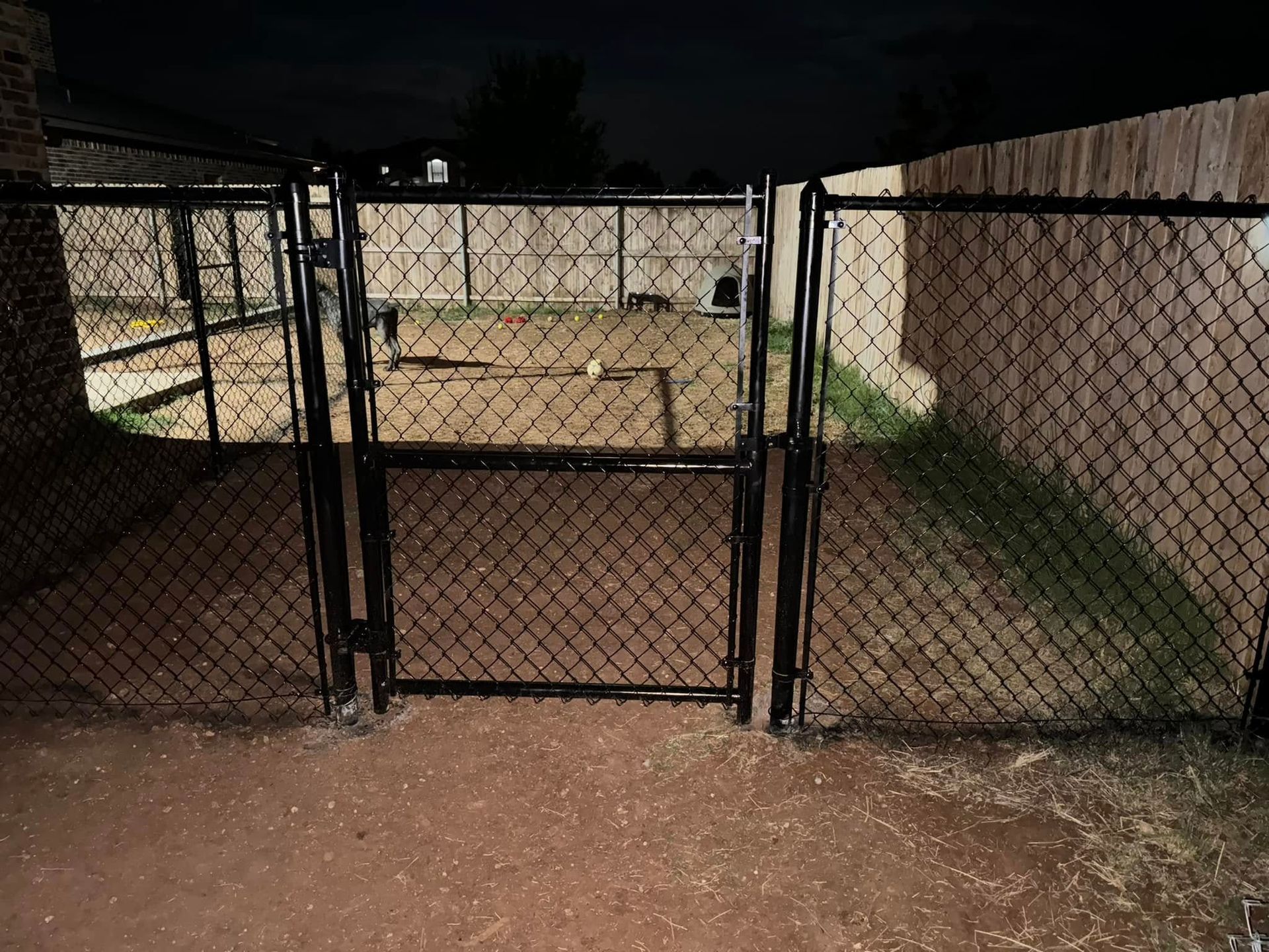 Black chain-link fence with gate. Backyard at night, grass and dirt visible, trees in background.