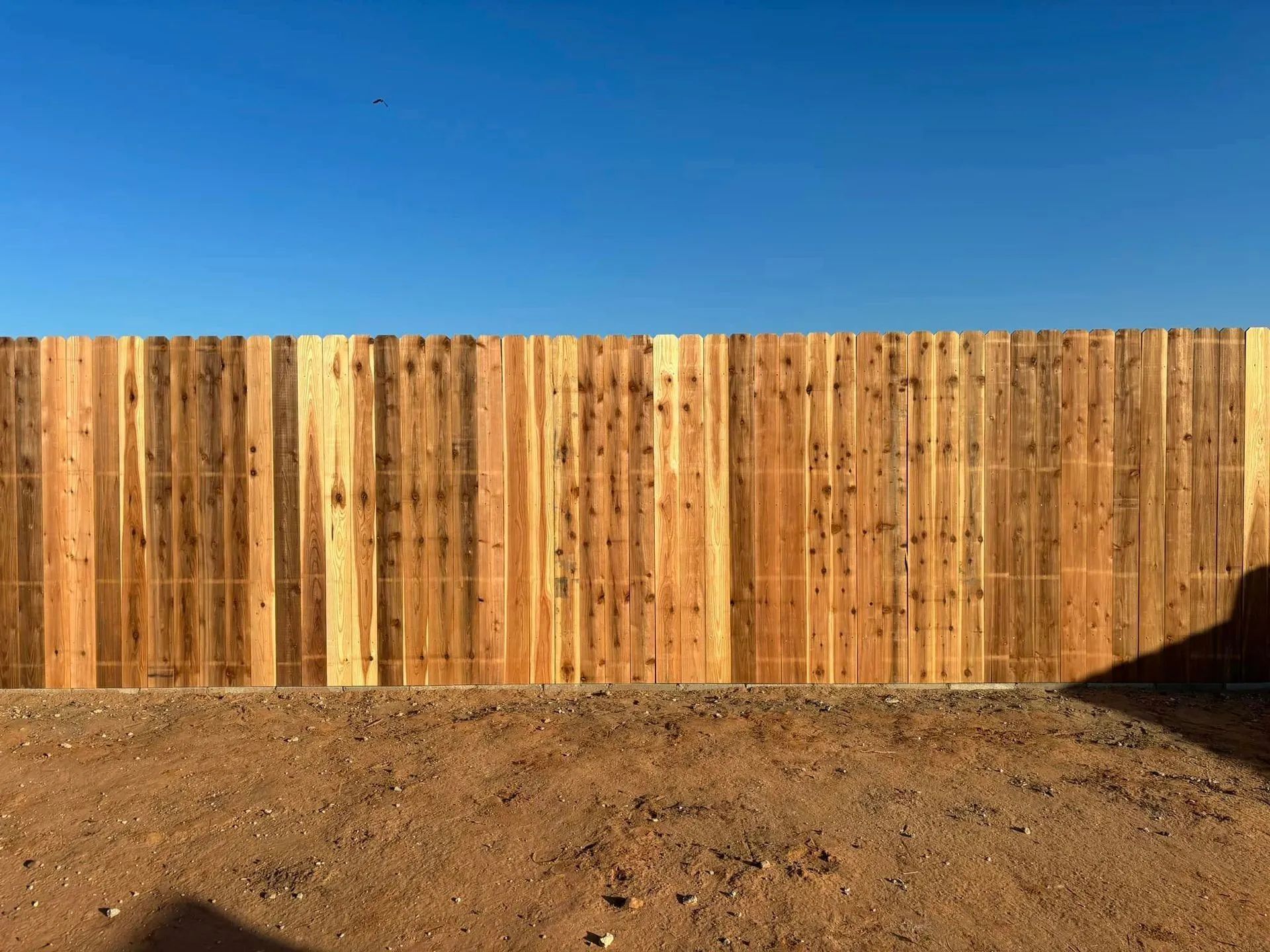 Wooden fence against a clear blue sky, set in a dirt yard.