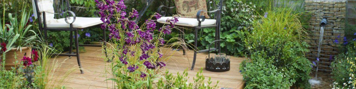 5 Low Maintenance Plants For Your Outdoor Space