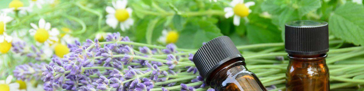 5 Natural & Safe Insect Repellents That You Can Make At Home