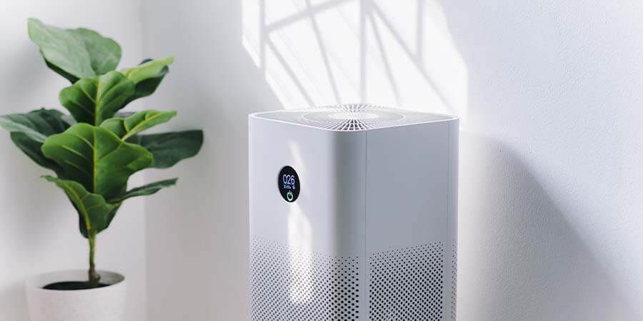 White air purifier and potted plant next to a white wall with shadows.