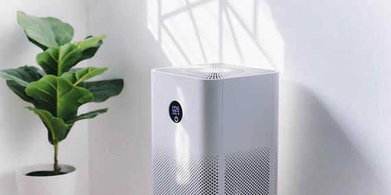 White air purifier and potted plant next to a white wall with shadows.