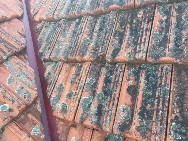 Old House Roof — Expert Roofers in Maroochy River, QLD