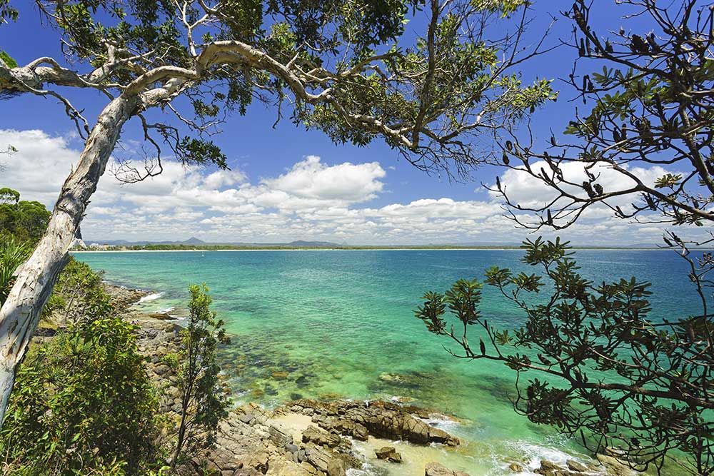 A View of the Ocean From a Cliff With Trees in the Foreground — SRV Roofing in Noosa, QLD