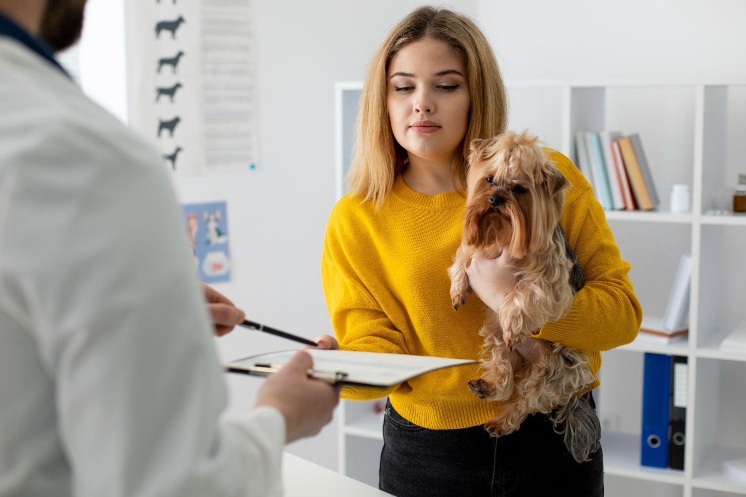 Woman holding small dog at vet, looking at paperwork held by the doctor. Light setting.