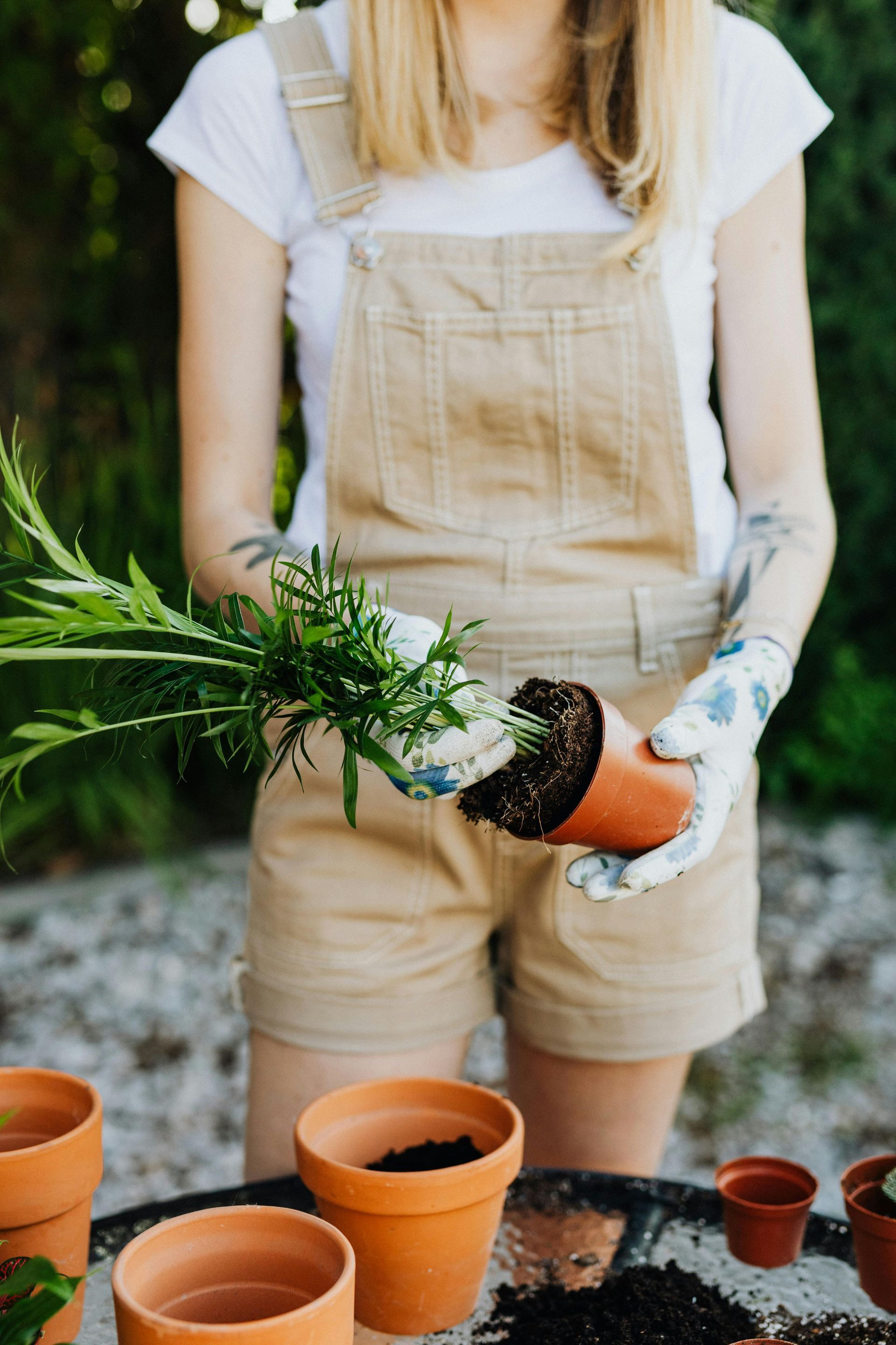 Woman in overalls plants a potted plant outdoors, wearing gardening gloves.