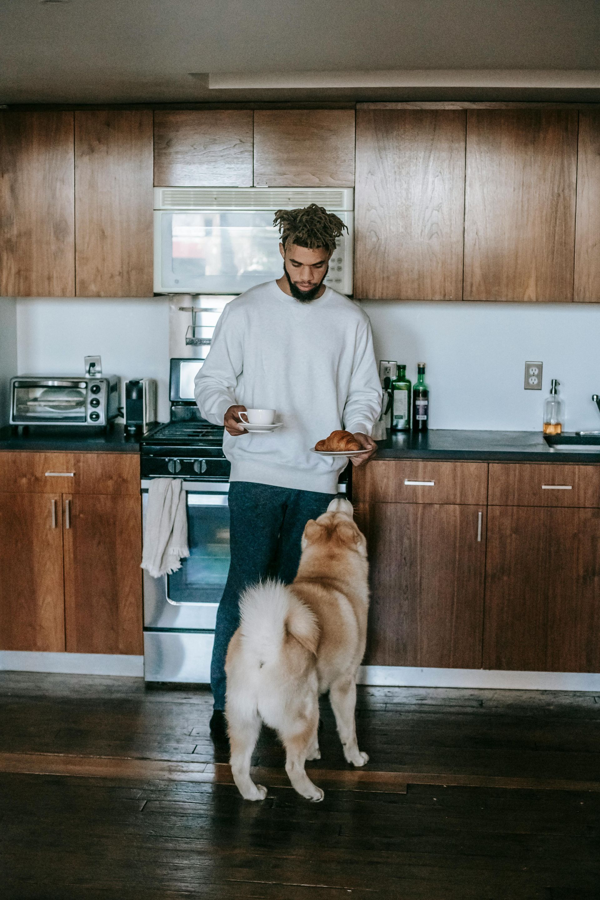 Man in kitchen holding food, dog begging, brown cabinets.