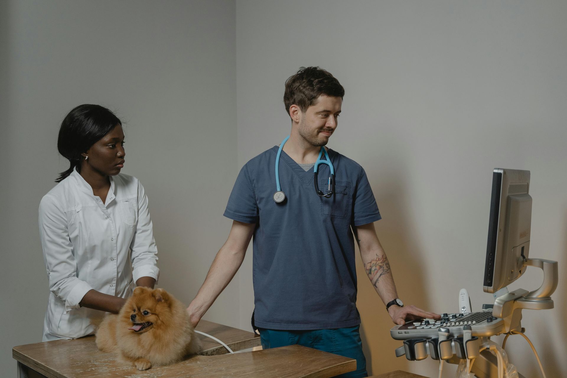 Veterinarian examining a dog with an assistant in an examination room.