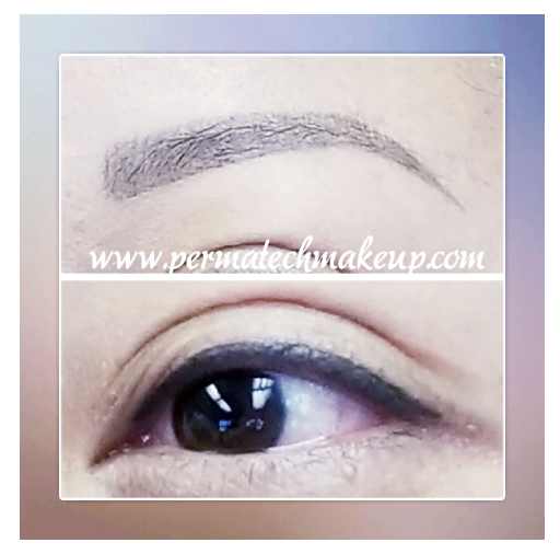 Permanent makeup: eyebrow and eyeliner. Gray eyebrow, black eyeliner, showing before and after effect.