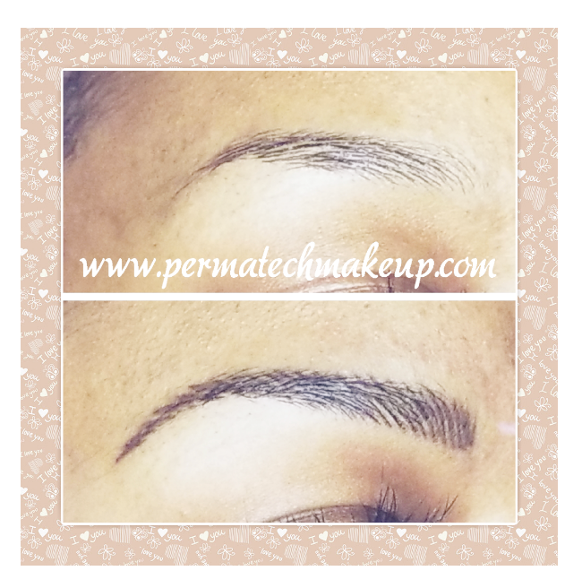 Two eyebrows with permanent makeup; the top one is lighter, the bottom is darker.
