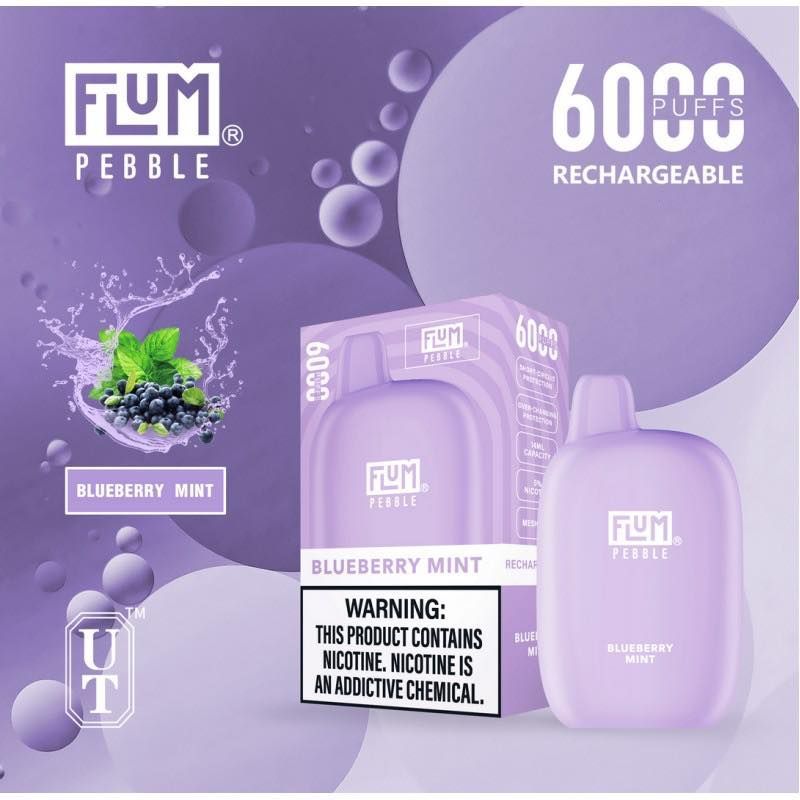Blueberry Mint Flum Pebble disposable vape, purple, with box and blueberries.
