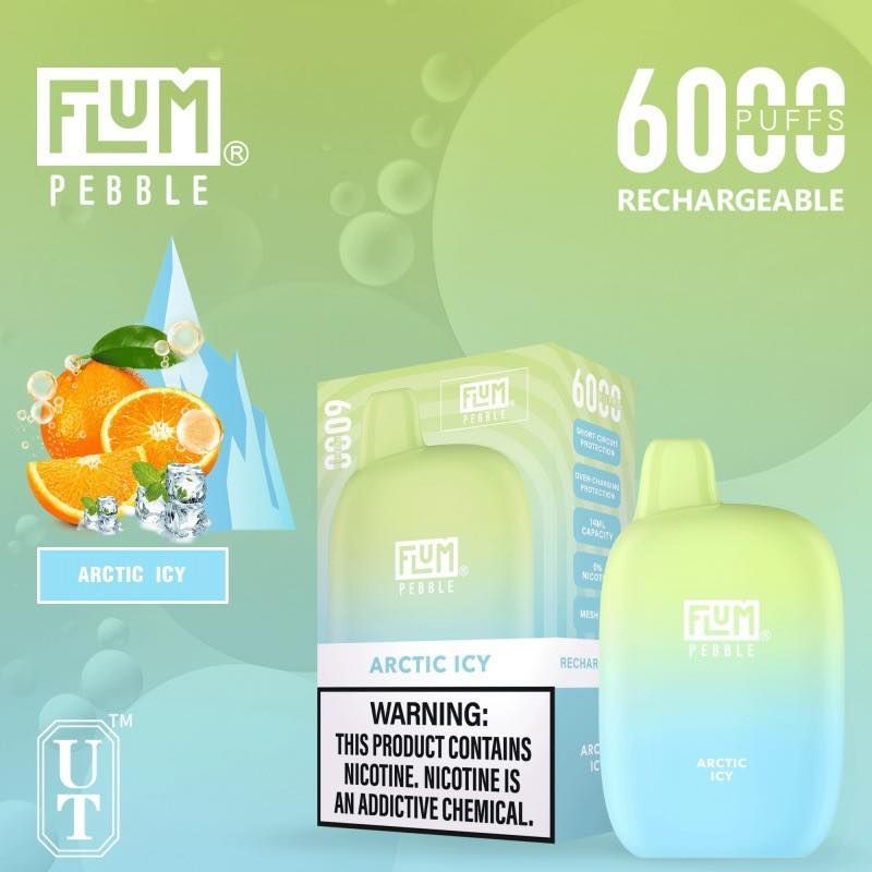 Flum Pebble Arctic Icy vape device with orange slices, ice, and a warning label, 6000 puffs, rechargeable.